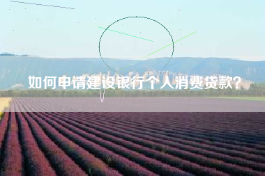 如何申请建设银行个人消费贷款？