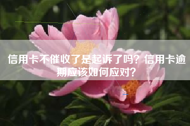 信用卡不催收了是起诉了吗？信用卡逾期应该如何应对？