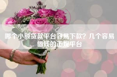 哪个小额贷款平台容易下款？几个容易借钱的正规平台