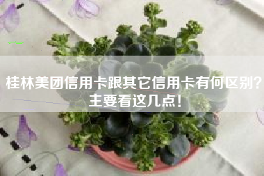 桂林美团信用卡跟其它信用卡有何区别？主要看这几点！