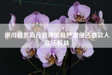 伊川县农商行管理混乱严重侵占借款人合法权益