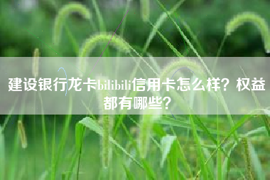 建设银行龙卡bilibili信用卡怎么样？权益都有哪些？