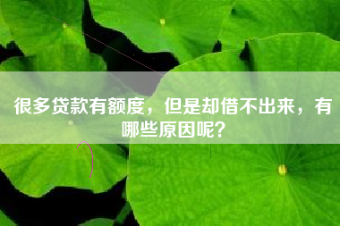 很多贷款有额度，但是却借不出来，有哪些原因呢？