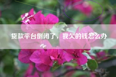 贷款平台倒闭了，我欠的钱怎么办