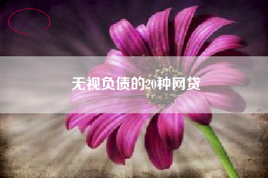 无视负债的20种网贷