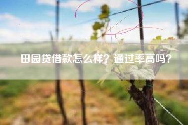 田园贷借款怎么样？通过率高吗？