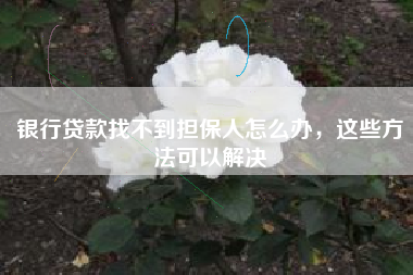 银行贷款找不到担保人怎么办，这些方法可以解决