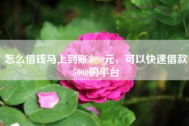 怎么借钱马上到账5000元，可以快速借款5000的平台