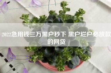 2022急用钱三万黑户秒下 黑户烂户必放款的网贷