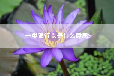 一类银行卡是什么意思?