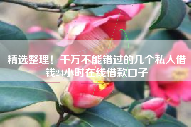 精选整理！千万不能错过的几个私人借钱24小时在线借款口子