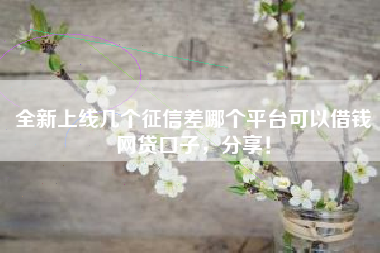 全新上线几个征信差哪个平台可以借钱网贷口子，分享！