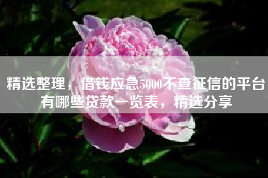 精选整理，借钱应急5000不查征信的平台有哪些贷款一览表，精选分享