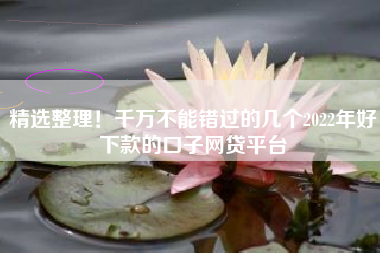 精选整理！千万不能错过的几个2022年好下款的口子网贷平台