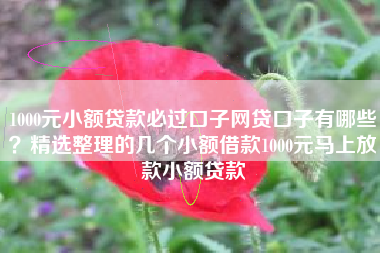 1000元小额贷款必过口子网贷口子有哪些？精选整理的几个小额借款1000元马上放款小额贷款