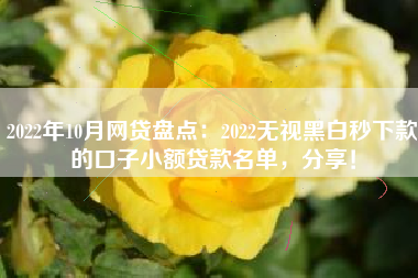 2022年10月网贷盘点：2022无视黑白秒下款的口子小额贷款名单，分享！