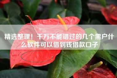 精选整理！千万不能错过的几个黑户什么软件可以借到钱借款口子