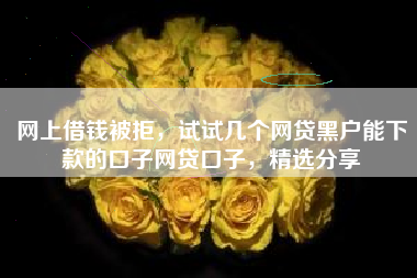 网上借钱被拒，试试几个网贷黑户能下款的口子网贷口子，精选分享