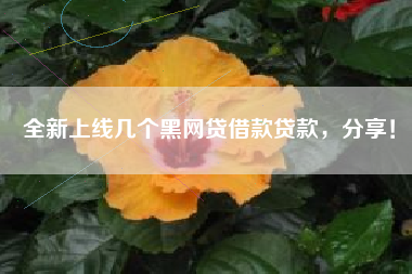 全新上线几个黑网贷借款贷款，分享！