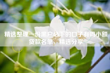 精选整理一份黑户必下的口子有吗小额贷款名单，精选分享