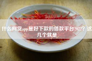 什么网贷app是好下款的借款平台2022？这几个就是