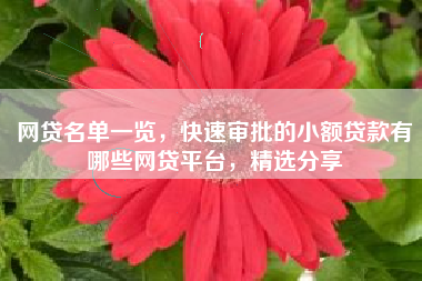 网贷名单一览，快速审批的小额贷款有哪些网贷平台，精选分享