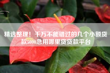 精选整理！千万不能错过的几个小额贷款5000急用哪里贷贷款平台