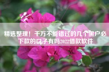 精选整理！千万不能错过的几个黑户必下款的口子有吗2022借款软件