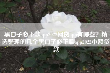 黑口子必下款app2022网贷app有哪些？精选整理的几个黑口子必下款app2022小额贷款