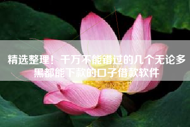 精选整理！千万不能错过的几个无论多黑都能下款的口子借款软件