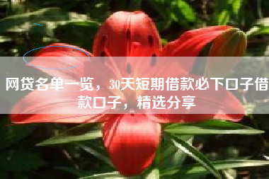 网贷名单一览，30天短期借款必下口子借款口子，精选分享