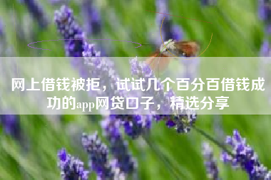 网上借钱被拒，试试几个百分百借钱成功的app网贷口子，精选分享
