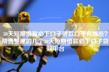 30天短期借款必下口子借款口子有哪些？精选整理的几个30天短期借款必下口子贷款平台