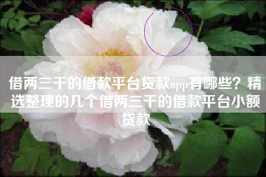 借两三千的借款平台贷款app有哪些？精选整理的几个借两三千的借款平台小额贷款