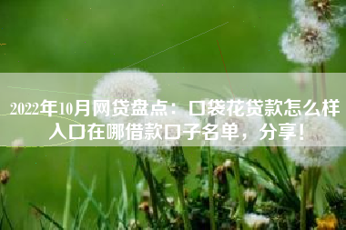 2022年10月网贷盘点：口袋花贷款怎么样入口在哪借款口子名单，分享！