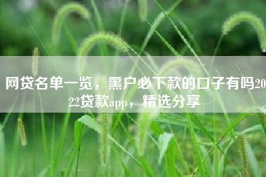 网贷名单一览，黑户必下款的口子有吗2022贷款app，精选分享