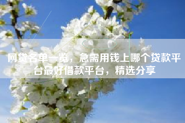 网贷名单一览，急需用钱上哪个贷款平台最好借款平台，精选分享