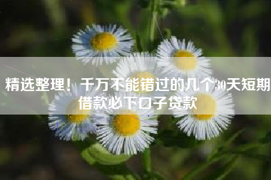 精选整理！千万不能错过的几个30天短期借款必下口子贷款