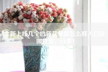 全新上线几个口袋花贷款怎么样入口在哪贷款，分享！