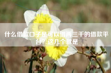 什么借款口子是可以借两三千的借款平台？这几个就是