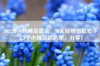 2022年10月网贷盘点：30天短期借款必下口子小额贷款名单，分享！