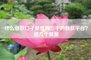 什么借款口子是借两三千的借款平台？这几个就是
