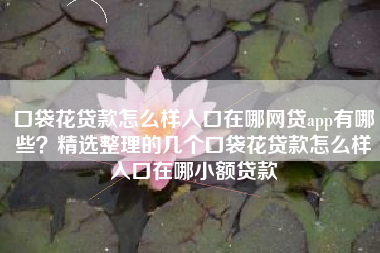 口袋花贷款怎么样入口在哪网贷app有哪些？精选整理的几个口袋花贷款怎么样入口在哪小额贷款