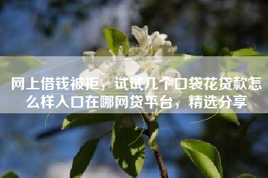 网上借钱被拒，试试几个口袋花贷款怎么样入口在哪网贷平台，精选分享