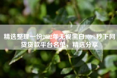 精选整理一份2022年无视黑白100%秒下网贷贷款平台名单，精选分享