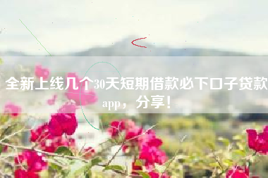 全新上线几个30天短期借款必下口子贷款app，分享！