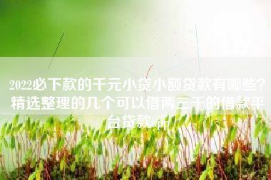 2022必下款的千元小贷小额贷款有哪些？精选整理的几个可以借两三千的借款平台贷款app