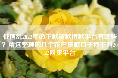 征信乱2022年必下款贷款借款平台有哪些？精选整理的几个花户贷款口子秒下的2022网贷平台
