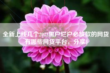 全新上线几个2022黑户烂户必放款的网贷有哪些网贷平台，分享！