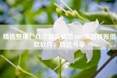 精选整理！几个借钱应急3000微信转账借款软件，精选分享